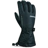 Dakine Men's Titan Leather Gloves