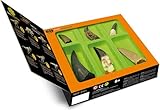 Dinosaur Teeth Collection
