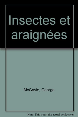 Insectes et araignées