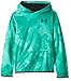Under Armour Boys Fleece Allover Printed Hoody