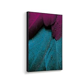 Framed Canvas Wall Art for Living Room, Bedroom Beautiful Features Canvas Prints for Home Decoration Ready to Hanging - 16x24 inches