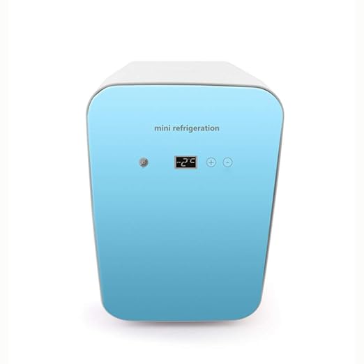 HWG Mini Nevera Nevera para Auto Caja De Calefacción Y ...