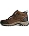Ariat Men's Terrain H2O Hiking Boot Copper