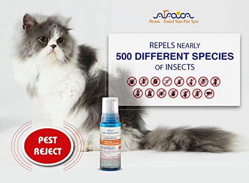 Arava Flea & Tick Prevention for Cats - 4-Doses – Puppy & Cat Flea Treatment - Botanical Flea & Tick Control Drops Repel Pests with Natural Oils – 100% Safe for Pets - Enhanced Defense & Prevention - Thumbnail 5