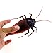 Tipmant RC Cockroach Insect Bug Remote Control Car Vehicle Electric Animal Toy Kids Gift