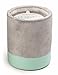 Paddywax Candles Urban Collection Soy Wax Blend Candle in Concrete Jar, Small- 3.5 Ounce, Sea Salt + Sage