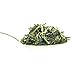 Pantenger Green Tea Loose Leaf - Himalayan Green Tea. 3.5 Ounce (50 servings) High Levels of Antioxidants and Amino Acids. Weight Loss Green Tea. USDA Organic Detox Tea from High Altitude Tea Garden.
