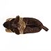 Everberry German Shepherd Slippers for Women and Men - Fuzzy Plush Dog Slippers for Adults