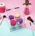 Newslly Acrylic Covered Makeup Sponge Holder with Lid 4 Slots Makeup Sponge Organizer Box for Beauty Blender