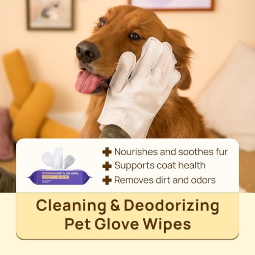 HICC PET Cleaning Deodorizing Glove Wipes for Dogs & Cats, Vet Recommended Hypoallergenic Hydrating & Nourish Fur Pet Grooming Glove Wipes, Pet Bathing Wipes for Horse Coat Care, 20pcs Coconut Scent