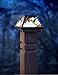 Moonrays 91187 Solar Powered White LED Hummingbird Stained Glass Postcap,Black