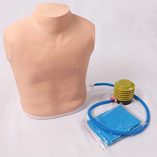 SHUAI Medical Training Half-Body Model, Pneumothorax Puncture And Lymph Node Puncture Simulation Model, Teaching Medicine