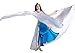 Dance Fairy Belly Dance Isis Wings Opening Dance Costume,Silver