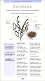Image de Natural Health: Homeopathy Handbook