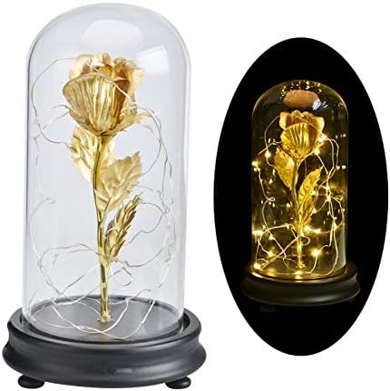 HFE Valentine'S Day Led Night Light Creative Gift 24k Rose Gold Foil Glass Cover Rose