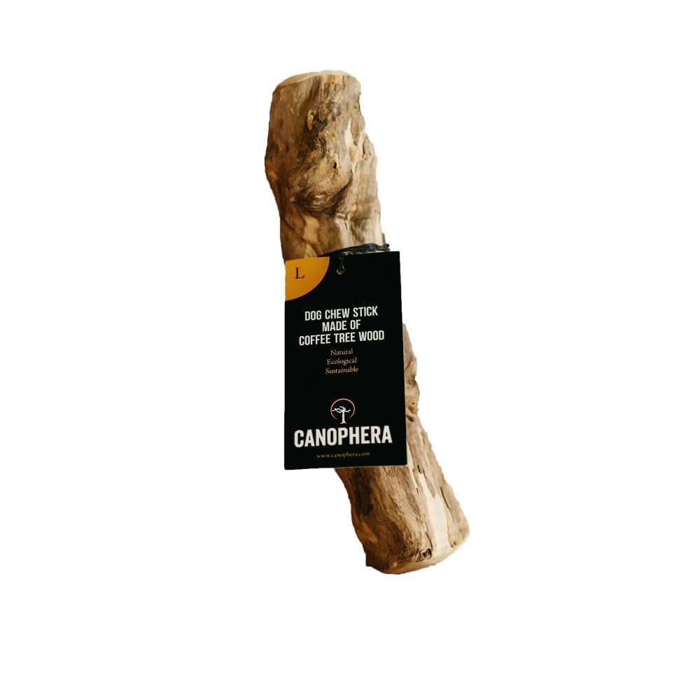 Photo 1 of Canophera Coffee Wood Dog chew Sticks for Regular chewers - Size Large