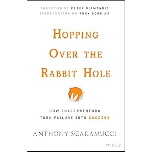 Hopping over the Rabbit Hole: How Entrepreneurs Turn Failure into Success