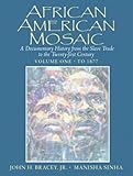 African American Mosaic: A Documentary History from the Slave Trade to the Twenty-First Century, Volume One: To 1877