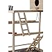 ROCKEVER Parrot Play Stand Bird Playground Cockatiel Gym with Nesting Box and Cupsthumb 4