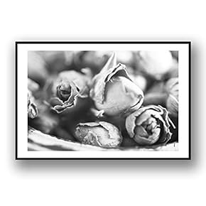 Framed for Living Room Bedroom Grey Rose Flowers for
