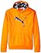 PUMA Boys' Big Cat Hoodie (Little Kid/Big Kid), Fire Orange, Large