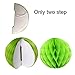 Recosis Hanging Paper Fan Set, Tissue Paper Pom Poms Flower Fan and Honeycomb Balls for Birthday Baby Shower Wedding Festival Decorations - Green