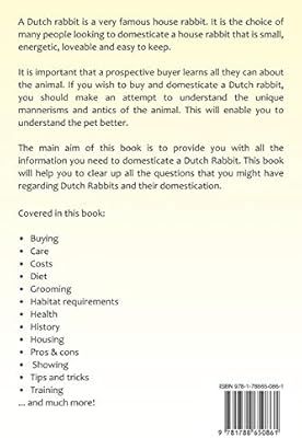 dutch rabbit care