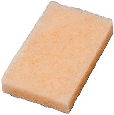 Bug Remover Scrubber Bug Sponge RV Car Aircraft Safe on Paint will not scratch like Mesh Sponge or Bug Squeegee