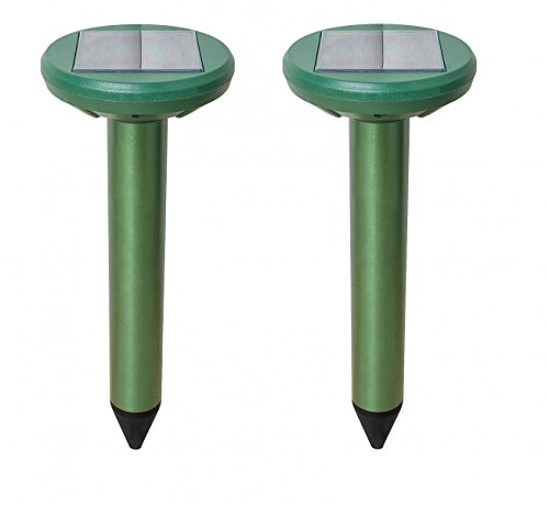 Knallerangebot! BT1513S Doppelpack Maulwurfstopp Maulwurfschreck Solar