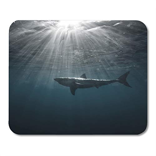Semtomn Rectangle Mouse Pad Rubber Mini 9.5