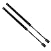 Maxpow 1Pair Front Hood Lift Supports Shocks Struts Compatible With 2000 2001 2002 2003 Maxima 4161