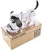 PowerTRC Toy Figure Dog Piggy Bank (White Black)