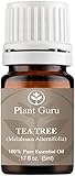 Tea Tree (Melaleuca) Essential Oil. 5 ml. 100% Pure, Undiluted, Therapeutic Grade. Sample Size