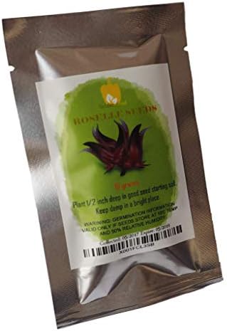 Organic Hibiscus sabdariffa-Roselle Seeds: Non-GMO, 250+ Seeds Packet, Red Big flower by Organic Farm