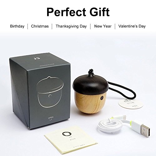 JSAUX-Portable-Mini-Wireless-Nut-Speaker-with-Enhanced-Bass-and-Built-in-Mic-and-Sling-for-Home-Outdoor-Travel-Compatible-with-iPhone-iPad-Android-Samsung-Tablet-and-More