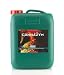 Cannazym 10L primary