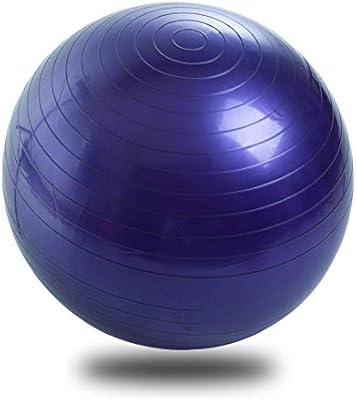 Ssery 65CM Pelota de Ejercicio Anti-Burst para Yoga, Equilibrio ...