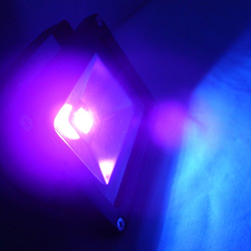 QUANS 110V 10W UV High Power LED Ultra Violet Flood Black Light
