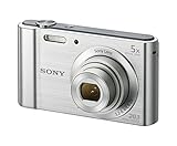 Sony (DSCW800) 20.1 MP Digital Camera (Silver)