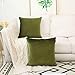 Home Brilliant Green Spring Pillow Covers 18x18 Velvet Throw Pillow Covers Decorative Throw Pillows for Couch Party Decor, 45 x 45cm(18 x 18 inches), Avocado Green