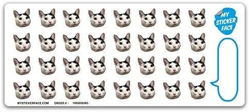 Custom Face & Pet Stickers, 0.75"