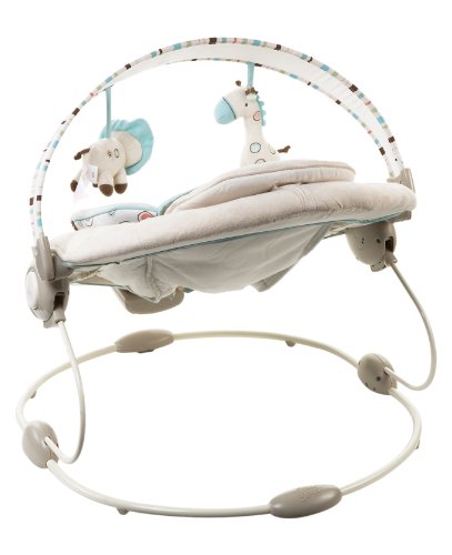 bright starts comfort and harmony bouncer
