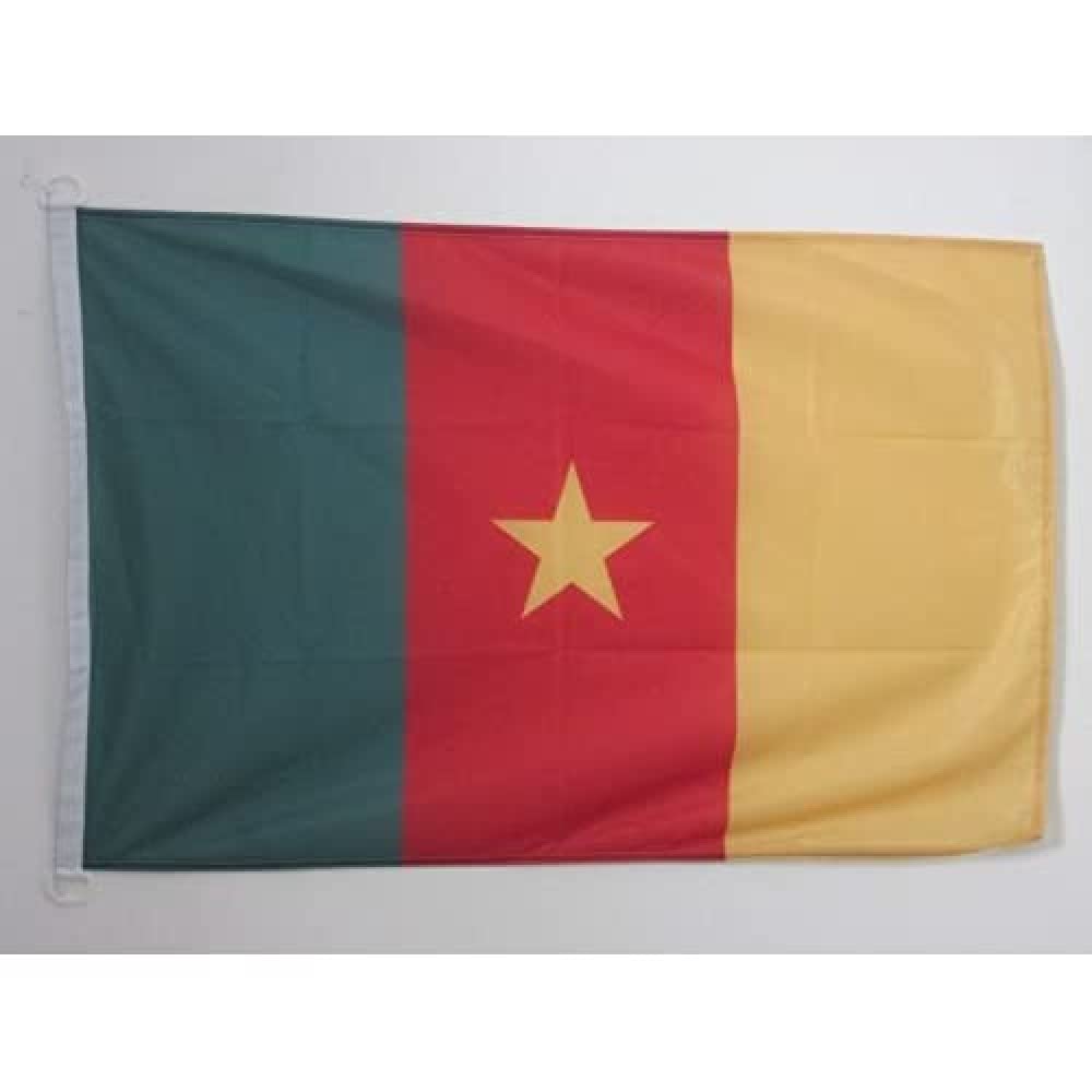 AZ FLAG - Cameroon Flag - 2x3 Ft - For Outdoor - Cameroonian Banner Knitted Polyester with Two Plastic Rings - Fade Resistant - Vivid Colors - 2' x 3' Feet - 90x60 Cm