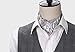 SetSense Men's Ascot Floral Paisley Jacquard Woven Cravat Tie ,Gray / Silver,One Size