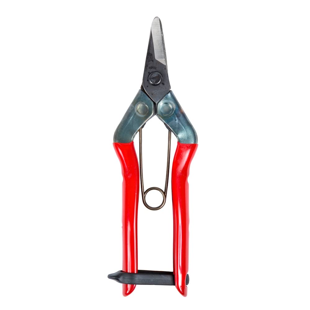 CHIKAMASA 8250001 Collecting Scissors S 202 165 mm