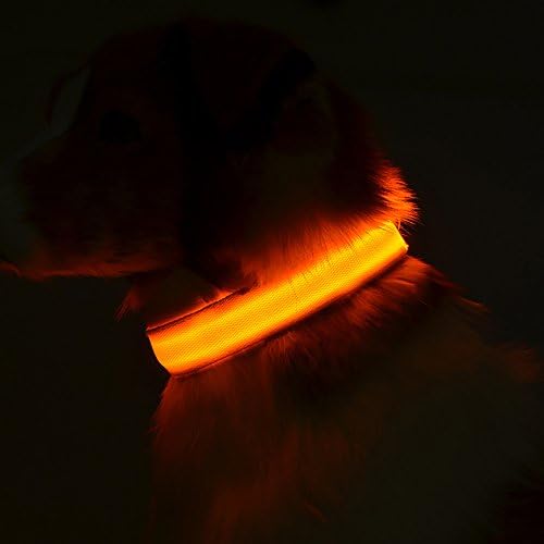 LED Dog Collar with USB Rechargeable, Walking Safety at Night, No Hassle with Replacing Batteries and No Extra Costs(M, Orange)
