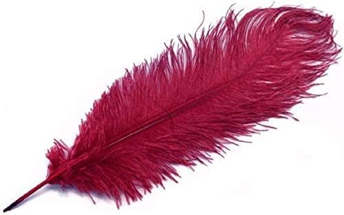 WedDecor Black Natural Ostrich Feathers 14-16" (35-40cm) Long for Wedding Centerpieces Home, Decorating Costumes