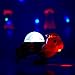 Toysery Light Up Turtle Toy with Lights and Sound for Baby and Toddler Battery Operated