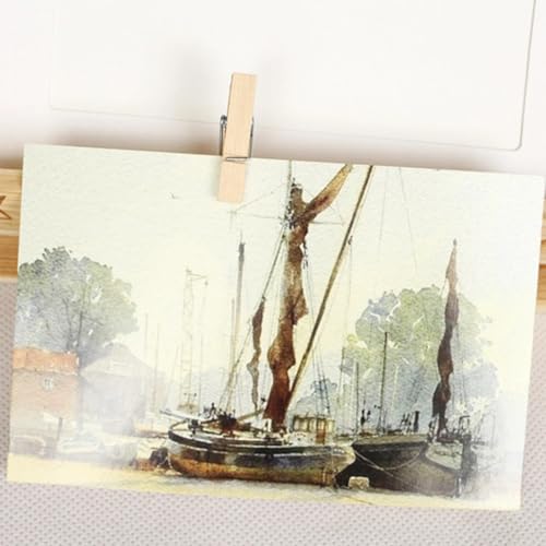 Walfront 250pcs Mini Wooden Clips Photo Clips Clothespin Craft Decoration Clips with 1 Roll 50 Meter Jute Twine Crafts Decor