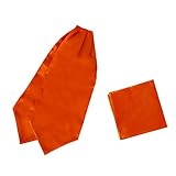 Dan Smith Orange Ascot Tie For Men Cravat